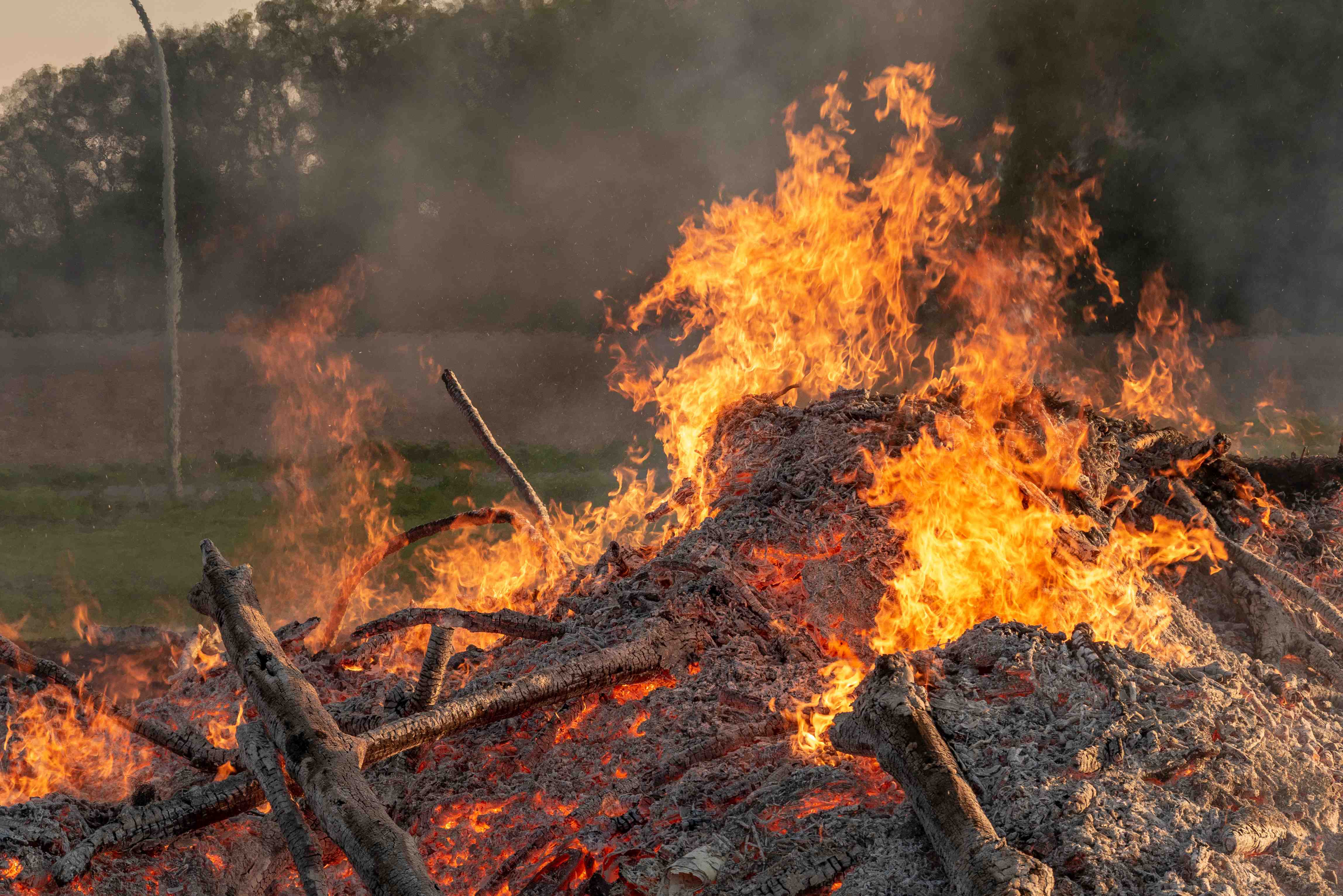 Osterfeuer 2019